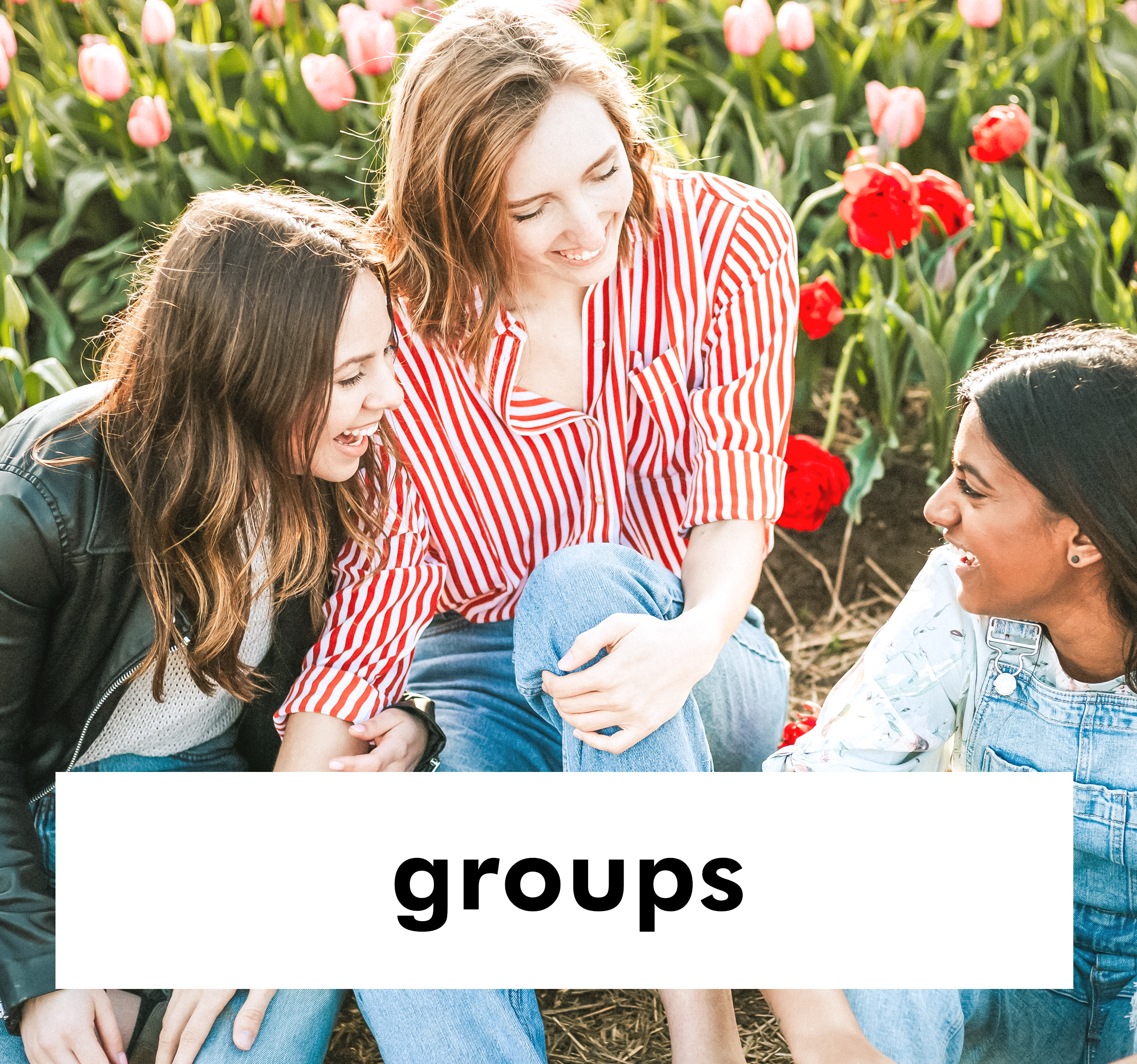 LP-Groups