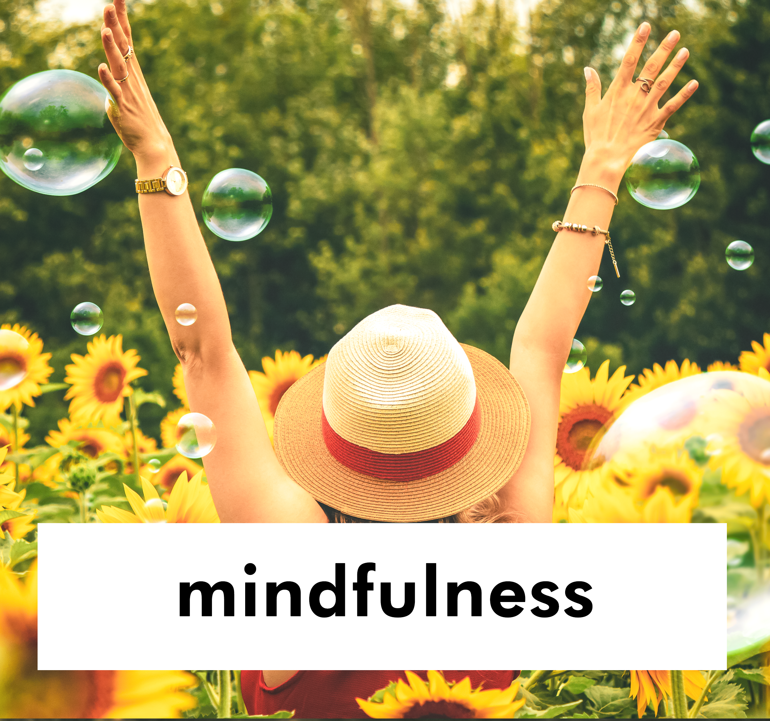LP-Mindfulness
