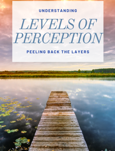 Peeling Back the Layers: Understanding Levels of Perception