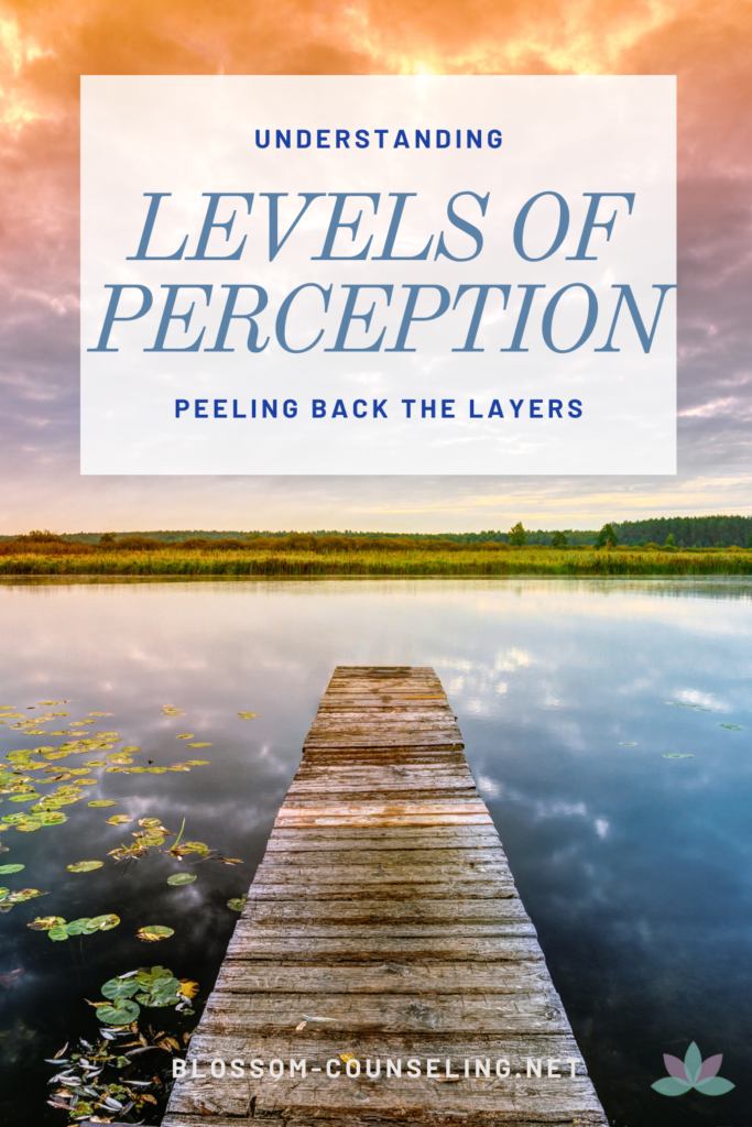 Peeling Back the Layers: Understanding Levels of Perception