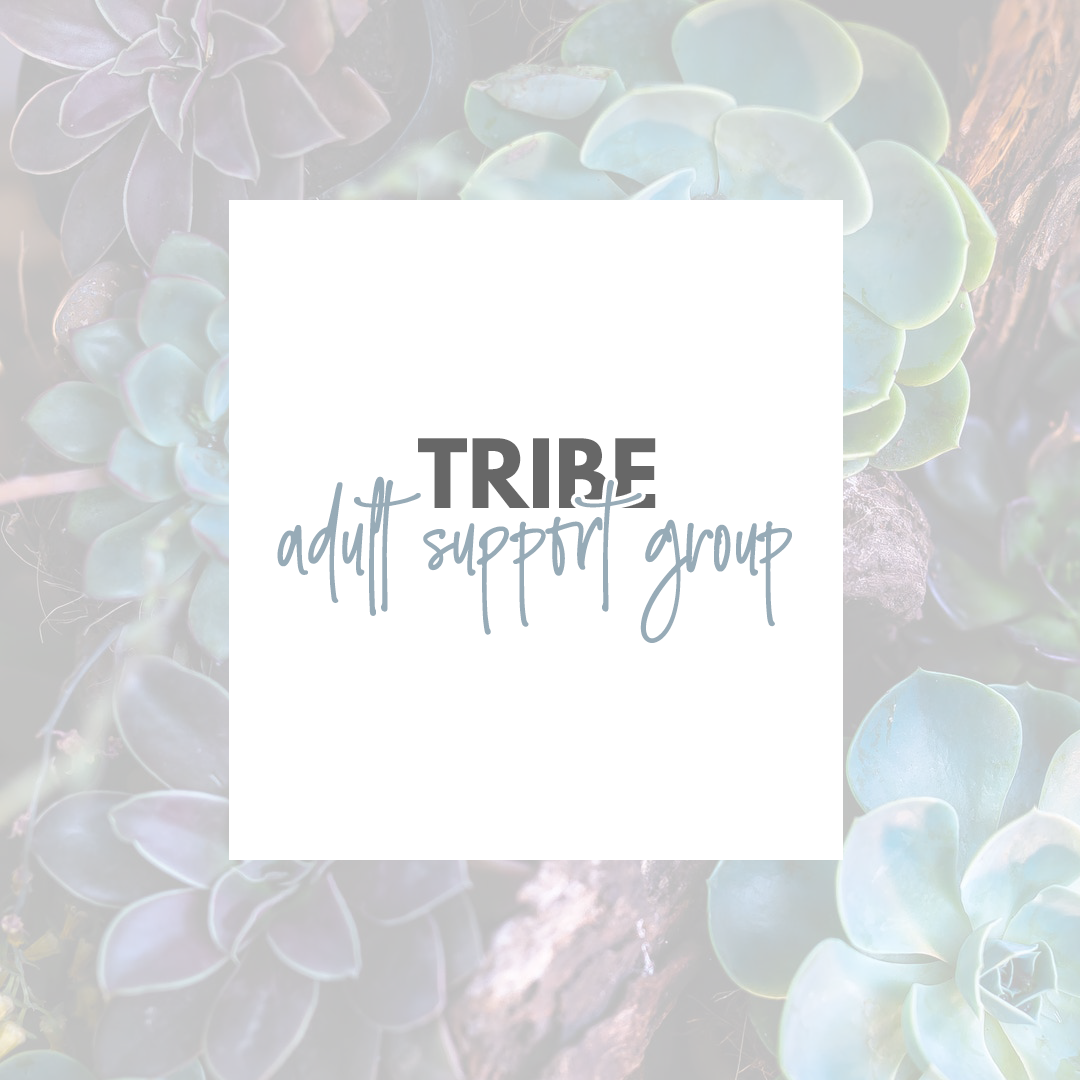 tribe, adult support - group therapy