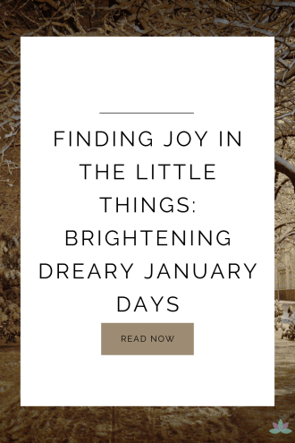 Finding Joy in the Little Things: Brightening Dreary January Days