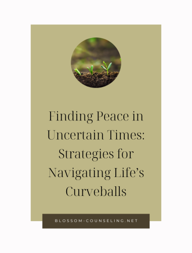 Finding Peace in Uncertain Times: Strategies for Navigating Life's Curveballs